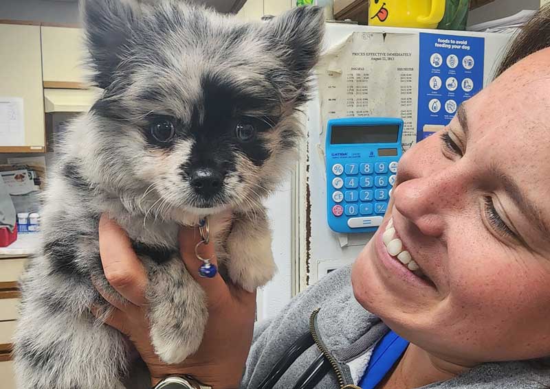 Carousel Slide 5: Puppy & Kitten Care